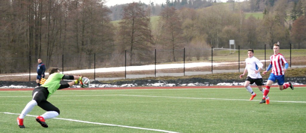 sdvcpfcvrchlabifkjaromer20170325fotovaclavmlejne_p1180667.jpg