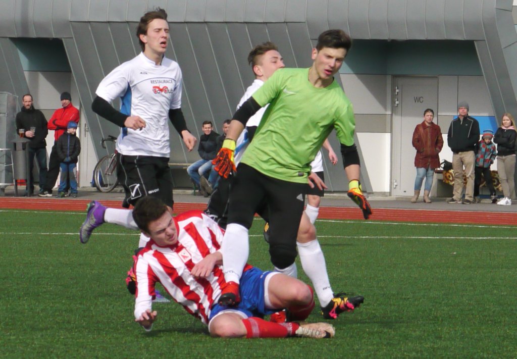 sdvcpfcvrchlabifkjaromer20170325fotovaclavmlejne_p1180889.jpg