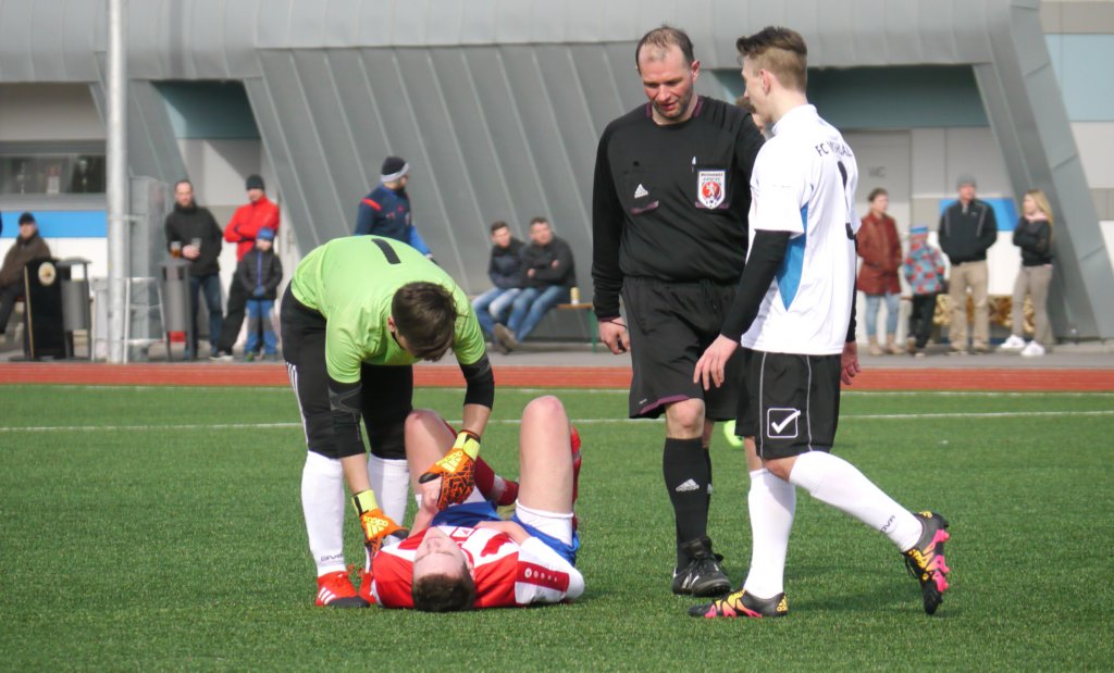 sdvcpfcvrchlabifkjaromer20170325fotovaclavmlejne_p1180891.jpg