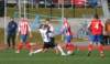 sdvcpfcvrchlabifkjaromer20170325fotovaclavmlejne_p1190075_small.jpg